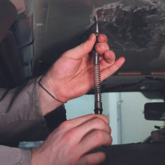 Miniatyrbilde: MWM Woodpecker, dor m/fjær
