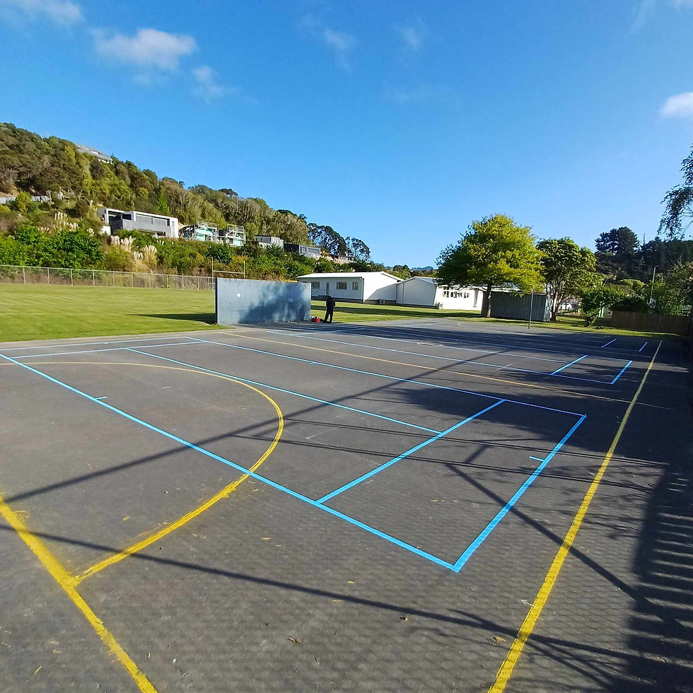 Paraparaumu School 3 x courts.jpeg