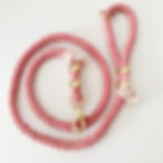 Thumbnail: Leia Leash