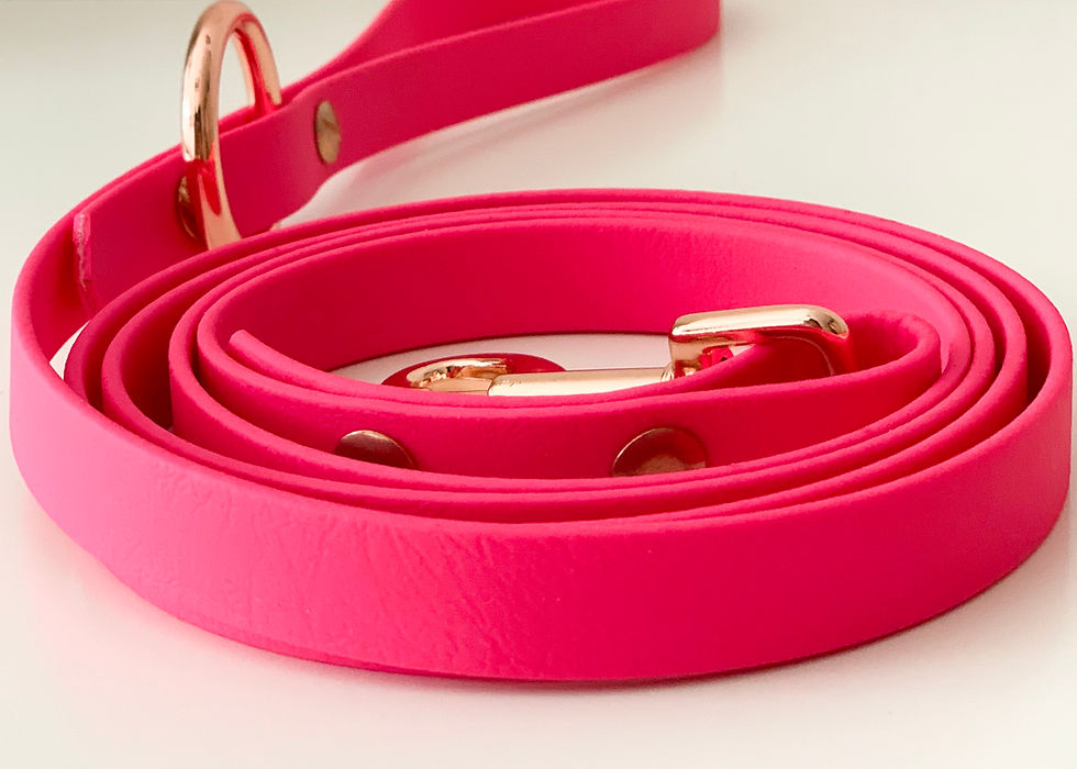 Miniaturbild: Bubble Jug Leash