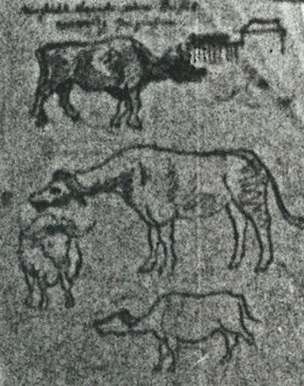 Z-1922-30 Cattle