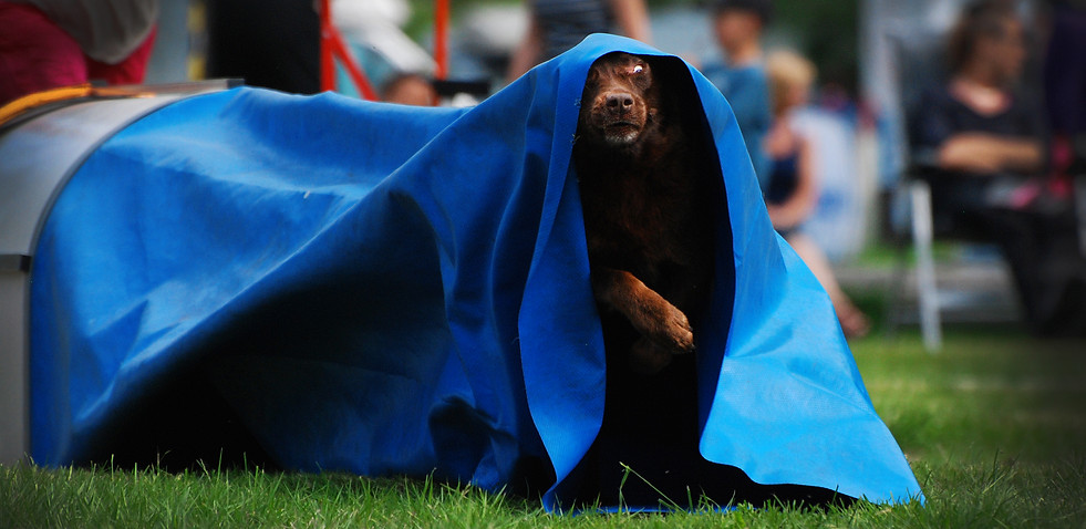 DSC_0906 02.jpg