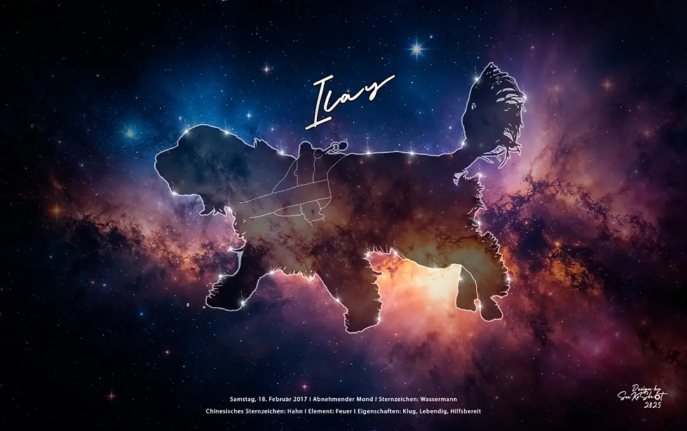 SuKoShot Weltraum Silhouetten Design 8