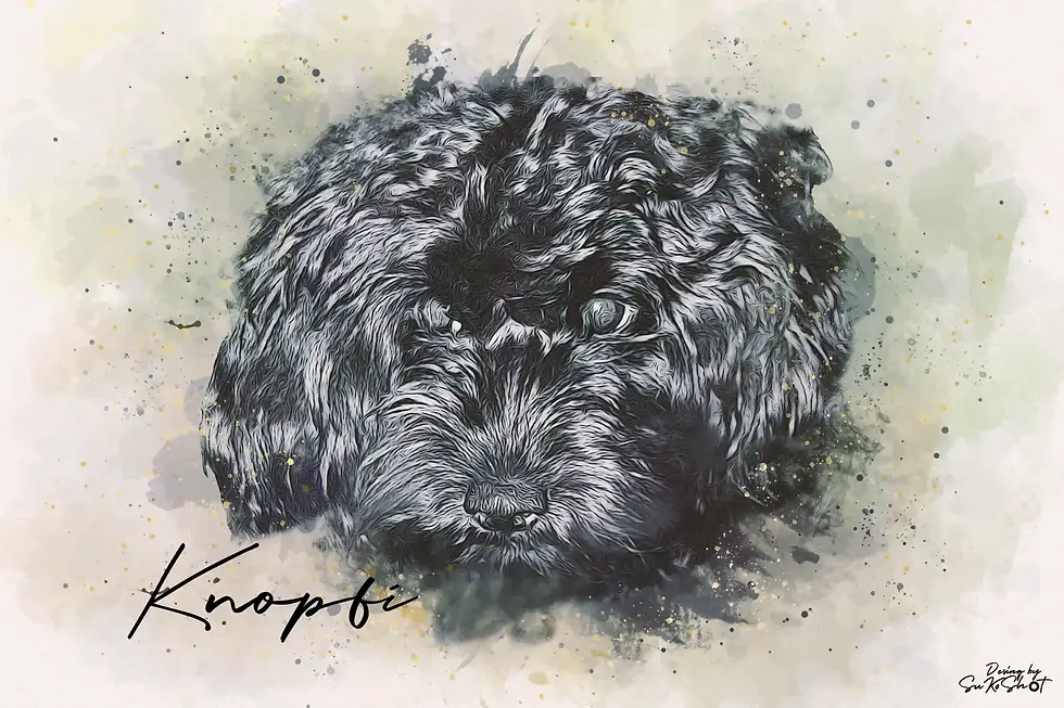 SuKoShot Aquarell Design 3