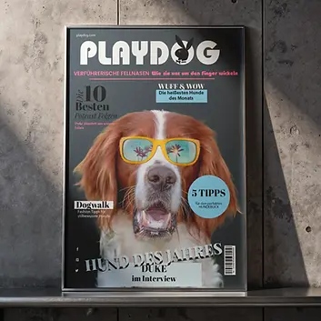 SuKoShot Magazin Design 1.webp