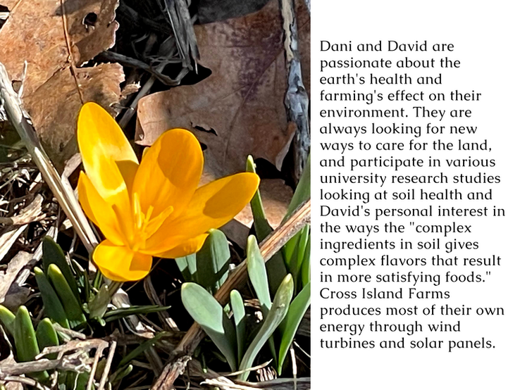 Dani and David are passionate about the earth's health and farming's effect on their environment. They are always looking for new ways to care for the land, and participate in various university research studies looking at soil health and David's personal interest in the ways the "complex ingredients in soil gives complex flavors that result in more satisfying foods." Cross Island Farms produces most of their own energy through wind turbines and solar panels.