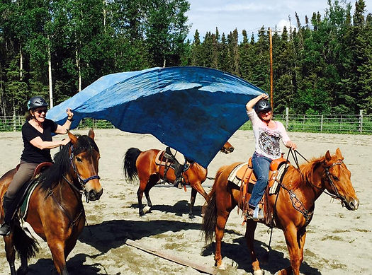 Clinic tarps riding.jpg