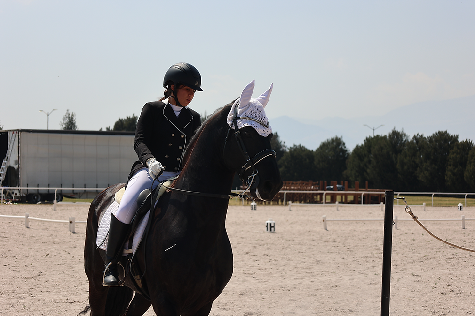 Metepec será sede del Campeonato Nacional Ecuestre AMETAC