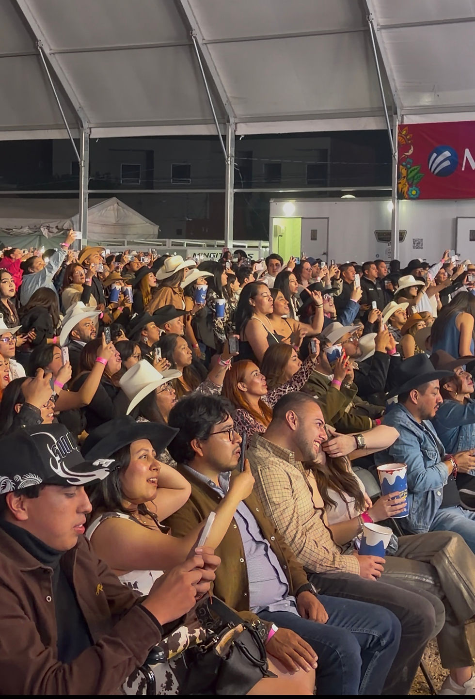 palenque metepec 2026