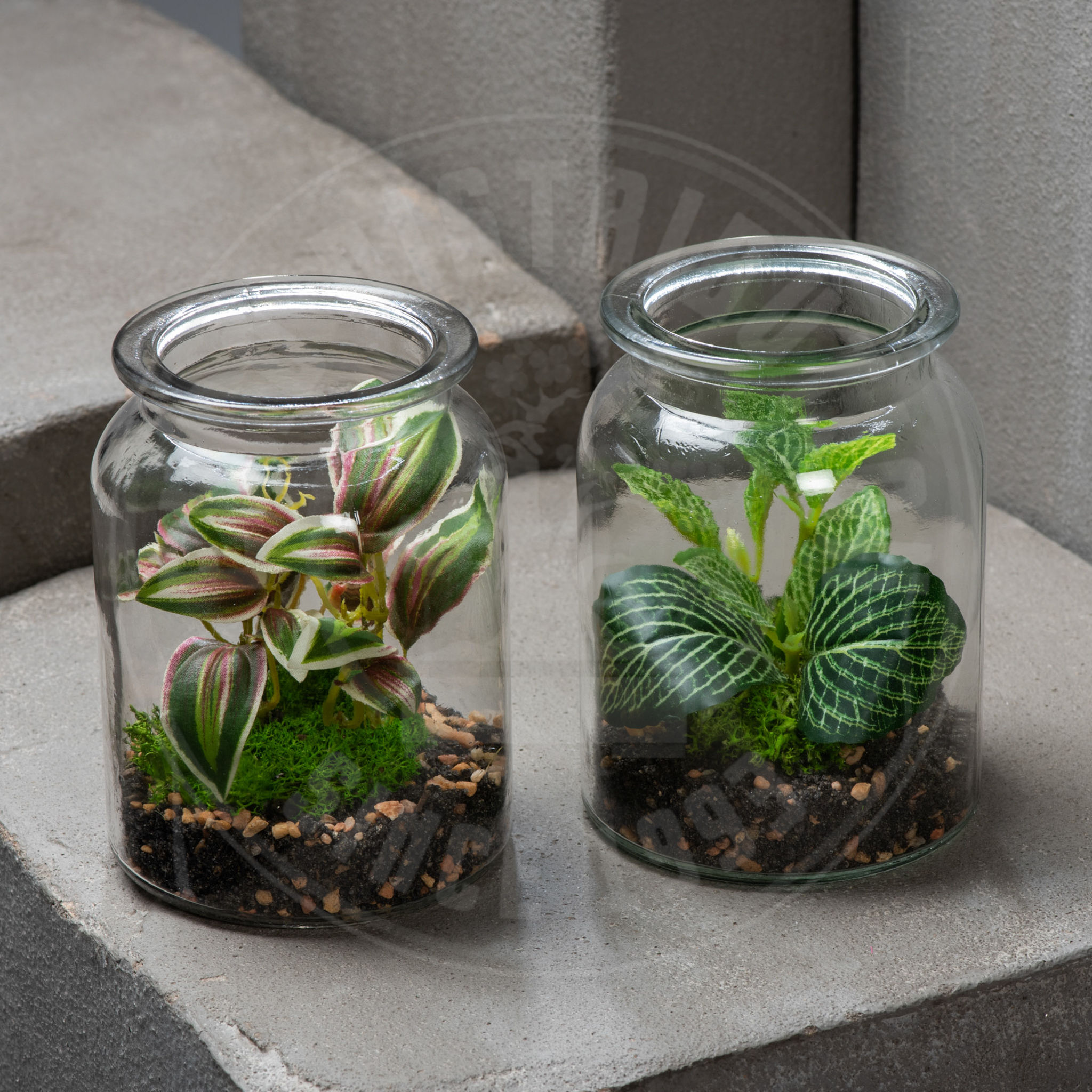 Plante verte mini verrerie