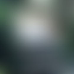 心が動く場所を探してみる vol.1