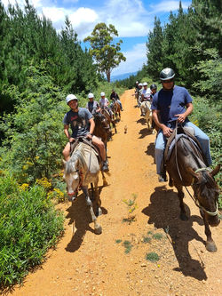 208552069_1607816456074982_8567018665917874707_n