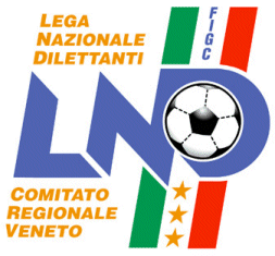 Il VENEZIA è stato affiliato alla FIGC