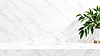 Minimalist Marble Countertop with Green Plant