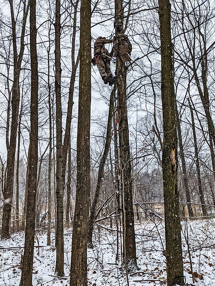 Saddle hunting Canada , Stini Gear