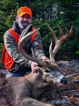 Stini Gear Saddle , saddle hunting 