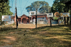 Pik-67.jpg