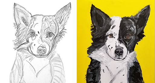 Pet Portrait