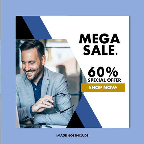 Web professional Banner 1.png