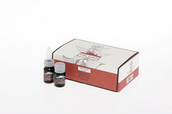 ヴィスヴィーテ ローション