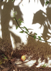 untitled-004-VAL-20190319-00144.jpg