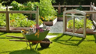 BASIC GARDENING.JPG