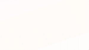 FCJ-Loop-300x.gif