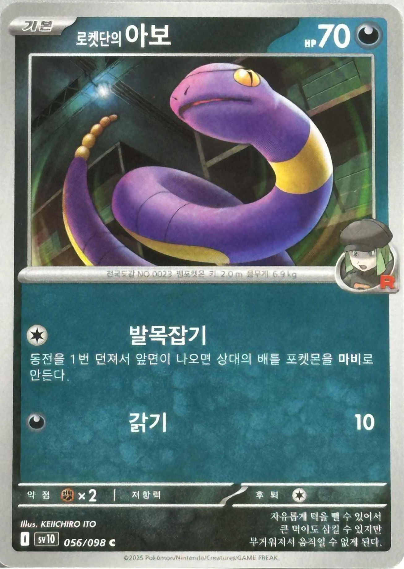 Team Rocket's Ekans 056/098