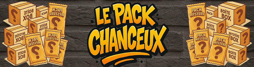 Sans titre (30 x 8 po).zip - 2 (1).png