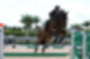 Natalie Meyer and La Luna's Ideal