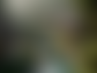 Checked In for a Reset: The Science and Surge of Wellness Tourism