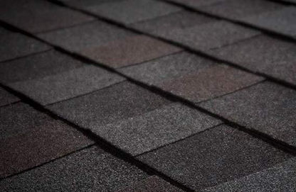 shingles kay.jpeg