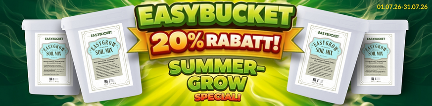 Easybucket_Banner_Juli_26.png