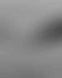 Michayla and Max engagement photos at Durrance Lake and Island View Beach during their Victoria engagement session