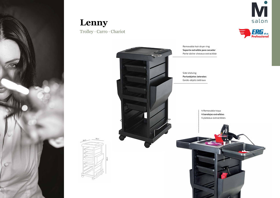 Thumbnail: Lenny Trolley | Mirplay