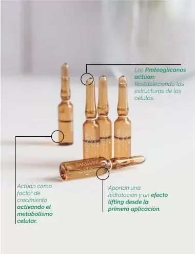 Thumbnail: Proteoglycans + HC | Transparent Clinic