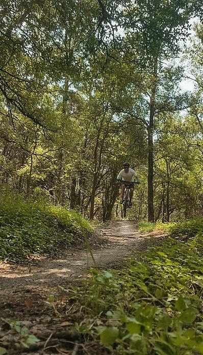 Northern Walnut Creek Trail