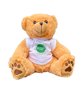 IQM Bear.png