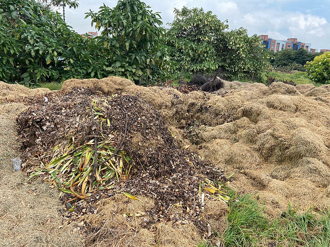 grass-stack.jpg