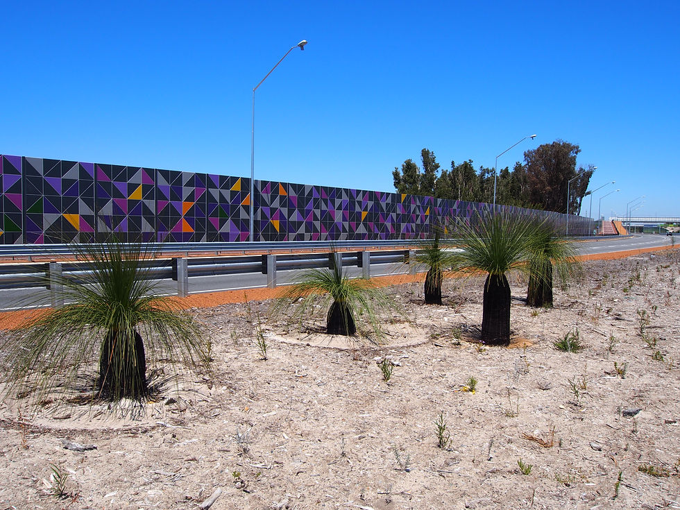 Anti Graffiti Coating