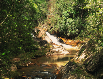 anature_pic13-780x883.png