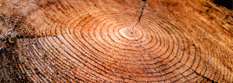 nsplsh_4869453858317948306d63~mv2_d_5312_2988_s_4_2-Adjust_edited.jpg