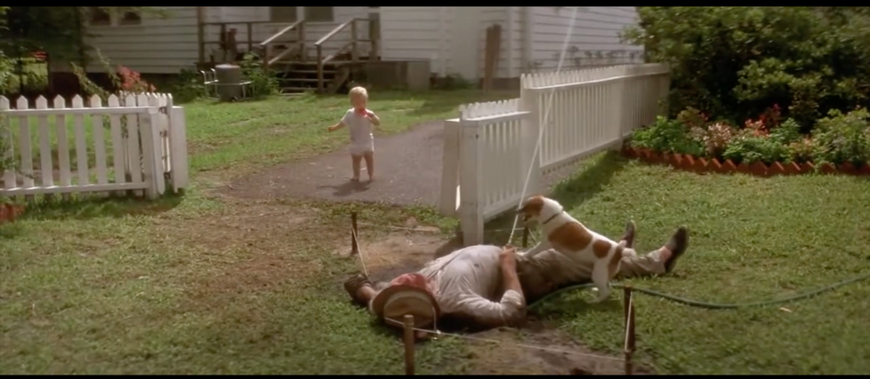 baby and dog to rescue man.