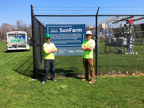 Early Adopters Love Solar