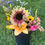 Thumbnail: Everyday Arrangement