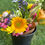 Thumbnail: Everyday Arrangement