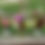 Thumbnail: All Summer 2025 Flower Subscription - 12 Bouquets