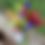 Thumbnail: Everyday Bouquet Gift Voucher for 2025 Season