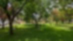 PXL_20230622_130242586.MP.jpg