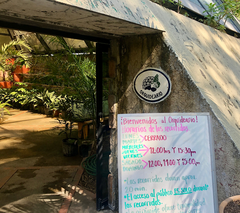 parque agua azul guadalajara orchidarium